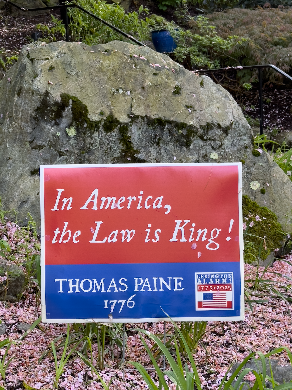 Law is King Yard Sign