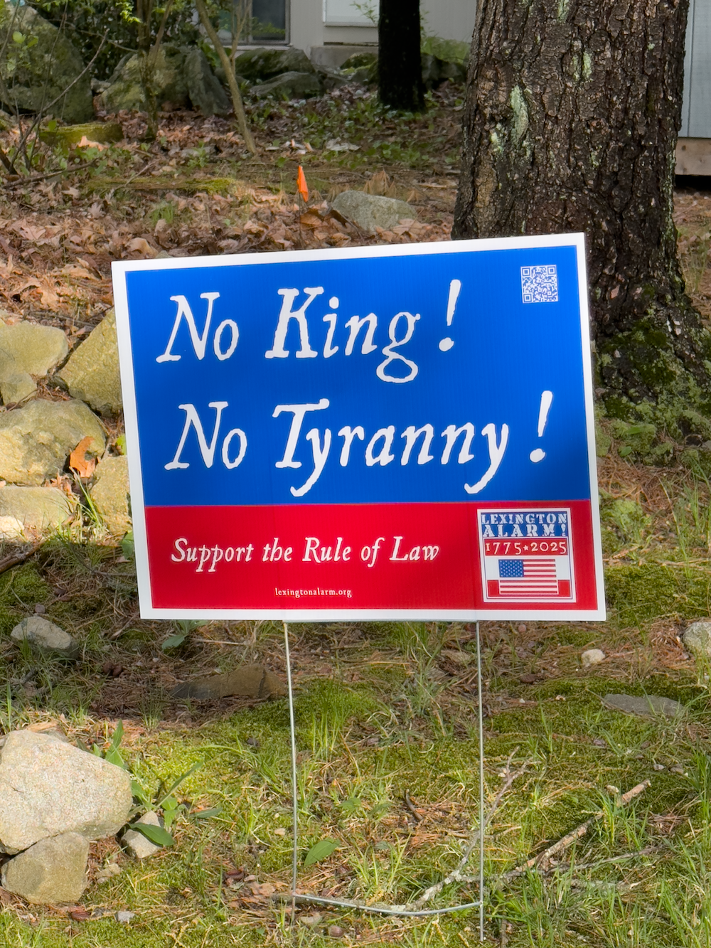 No King No Tyranny Yard Sign