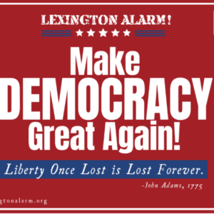Rally Pickup of 18" x 24" Yard Sign - "Make Democracy Great Again!" / "Organize! Participate! VOTE!"